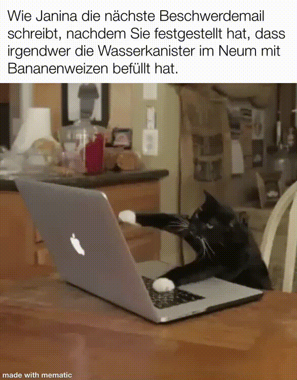 Überschrift: "Wie Janina die nächste Beschwerdemail schreibt, nachdem sie festgestellt hat, dass irgendwer die Wasserkanister im Neum mit Bananaweizen befüllt hat" Bild: Katze tippt aggressiv auf einem Macbook