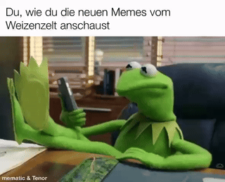 Wie du die neuen memes vom Weizenzelt anschaust: Kermit der Frosch schaut in sein Handy und schüttelt den Kopf.